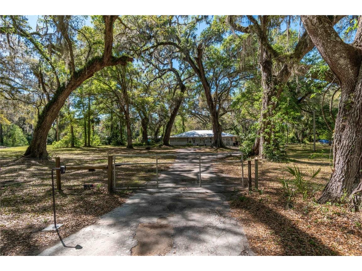 14100 NE 40th Court Anthony FL 32617 - Meadowbrook Lake OM697203 image31