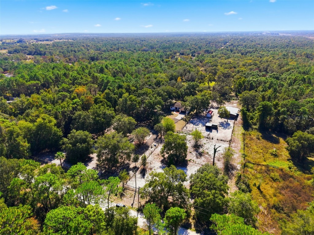 14100 Olympic Village Lane Brooksville FL 34614 W7880497 image38