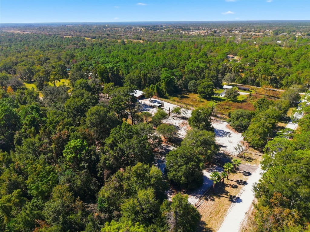 14100 Olympic Village Lane Brooksville FL 34614 W7880497 image41