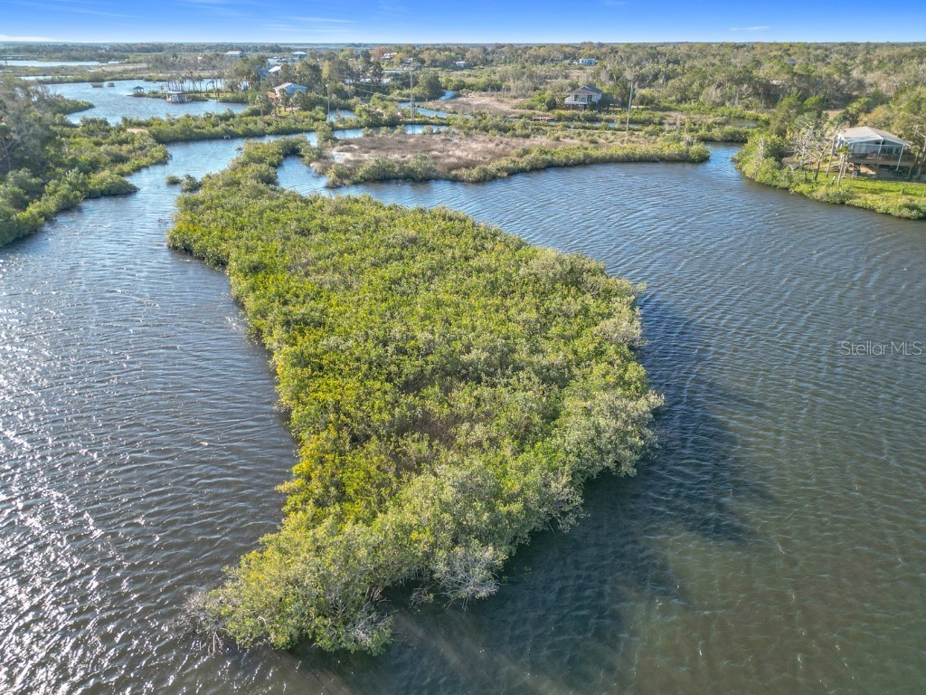 14101 W St Martins Road Crystal River FL 34429 - Black Creek A4644818 image3