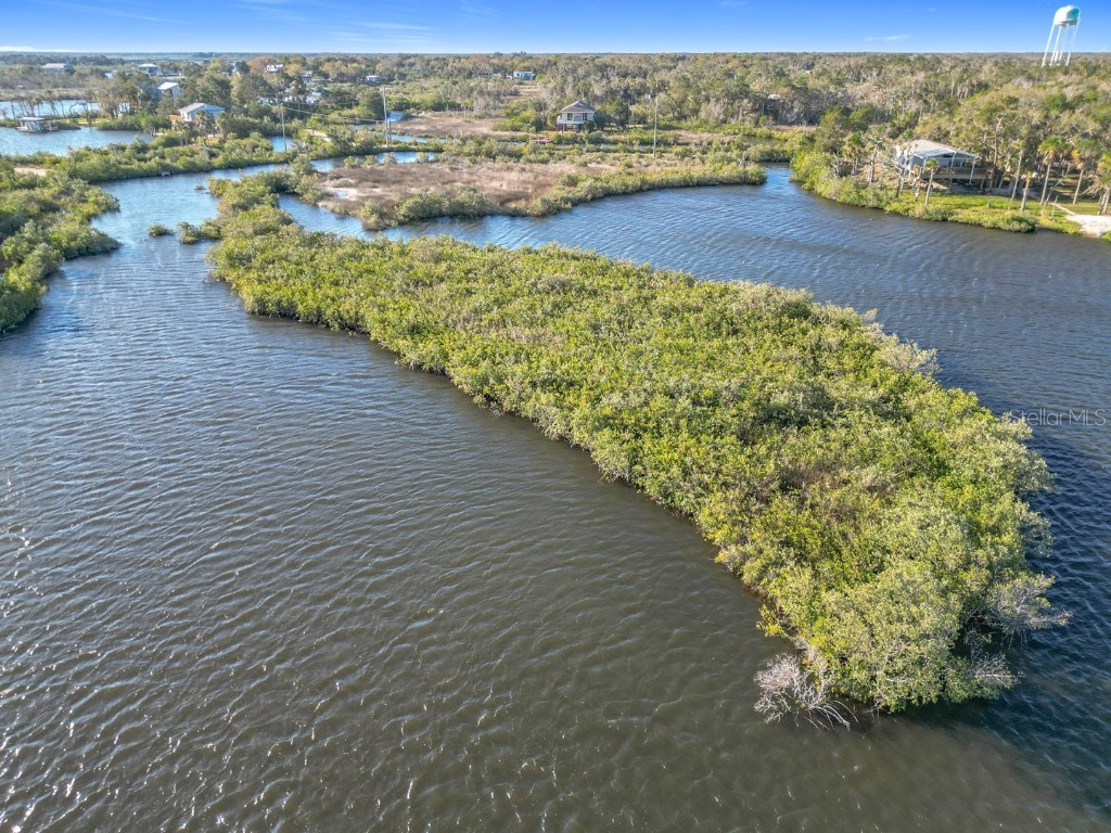 14101 W St Martins Road Crystal River FL 34429 - Black Creek A4644818 image4