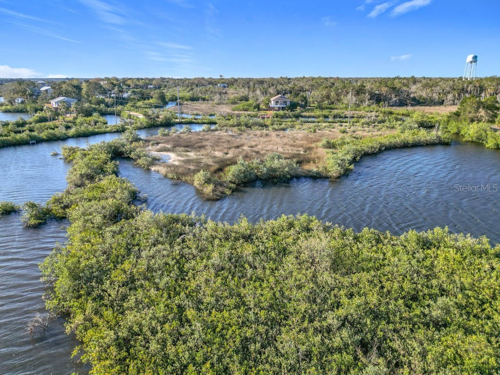 14101 W St Martins Road Crystal River FL 34429 - Black Creek A4644818 image5