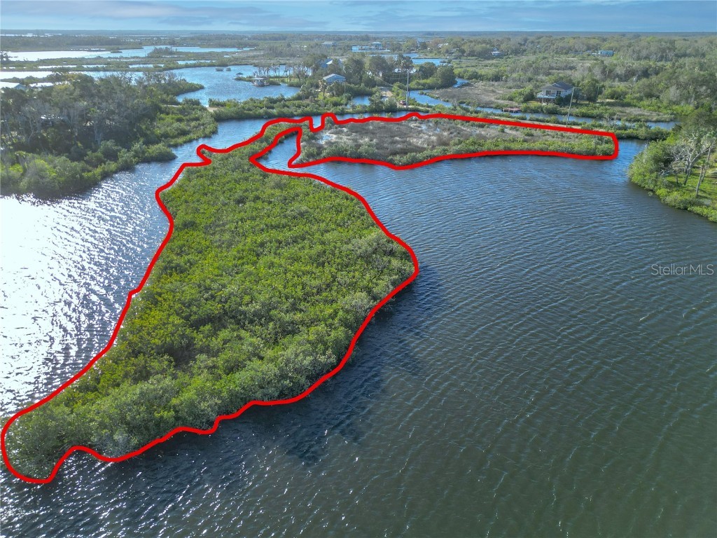14101 W St Martins Road Crystal River FL 34429 - Black Creek A4644818 image6