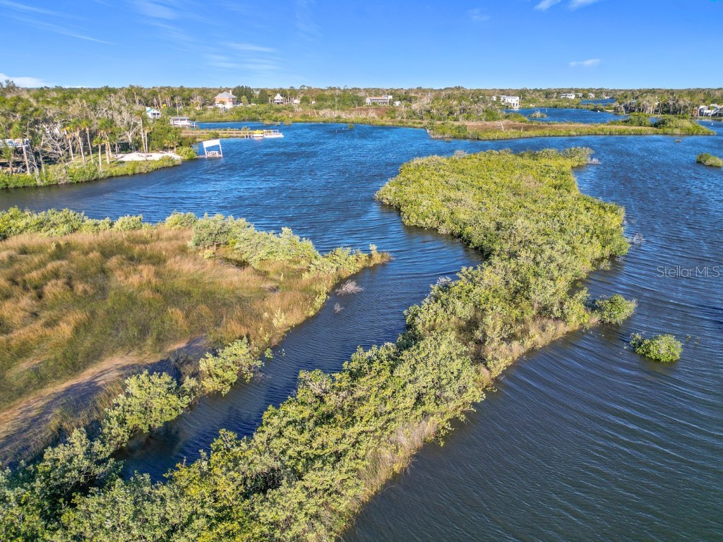 14101 W St Martins Road Crystal River FL 34429 - Black Creek A4644818 image8