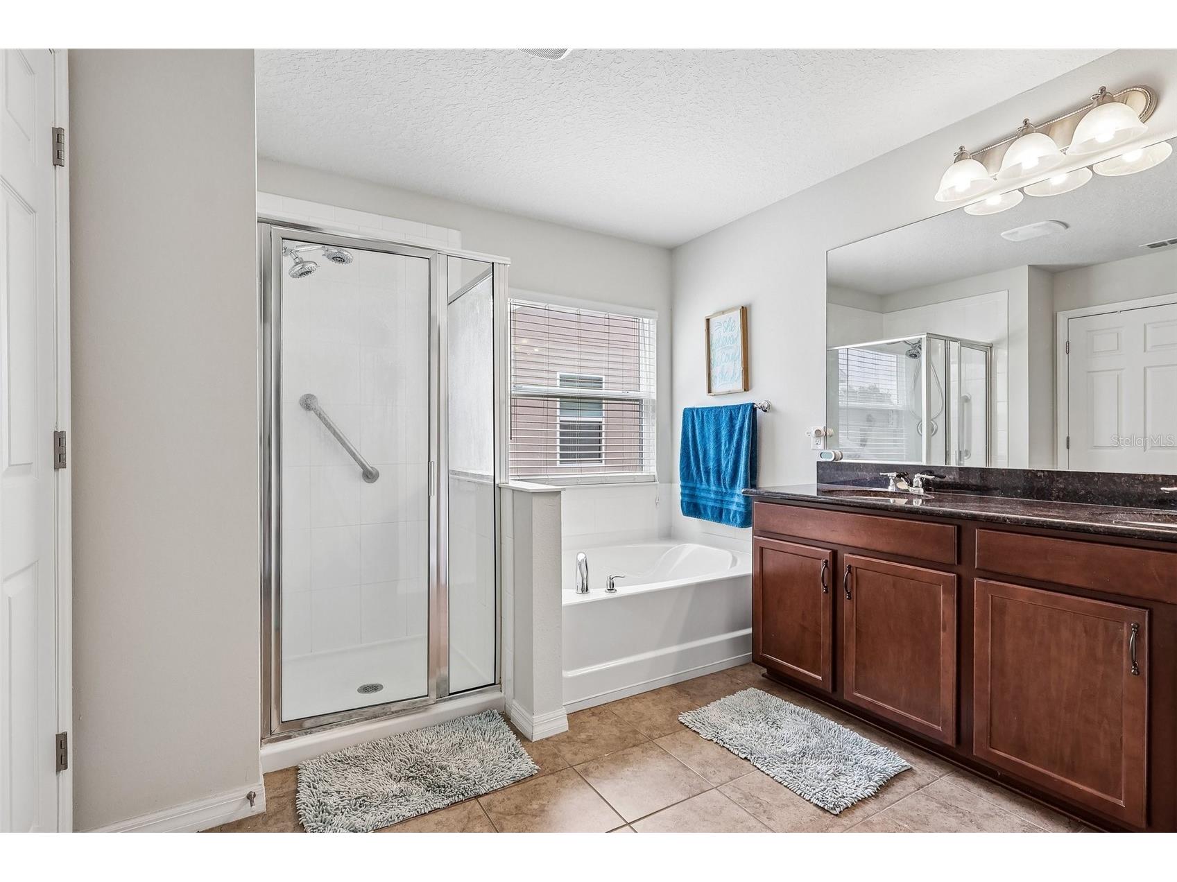 14102 Waterford Creek Boulevard Orlando FL 32828 O6412302 image12