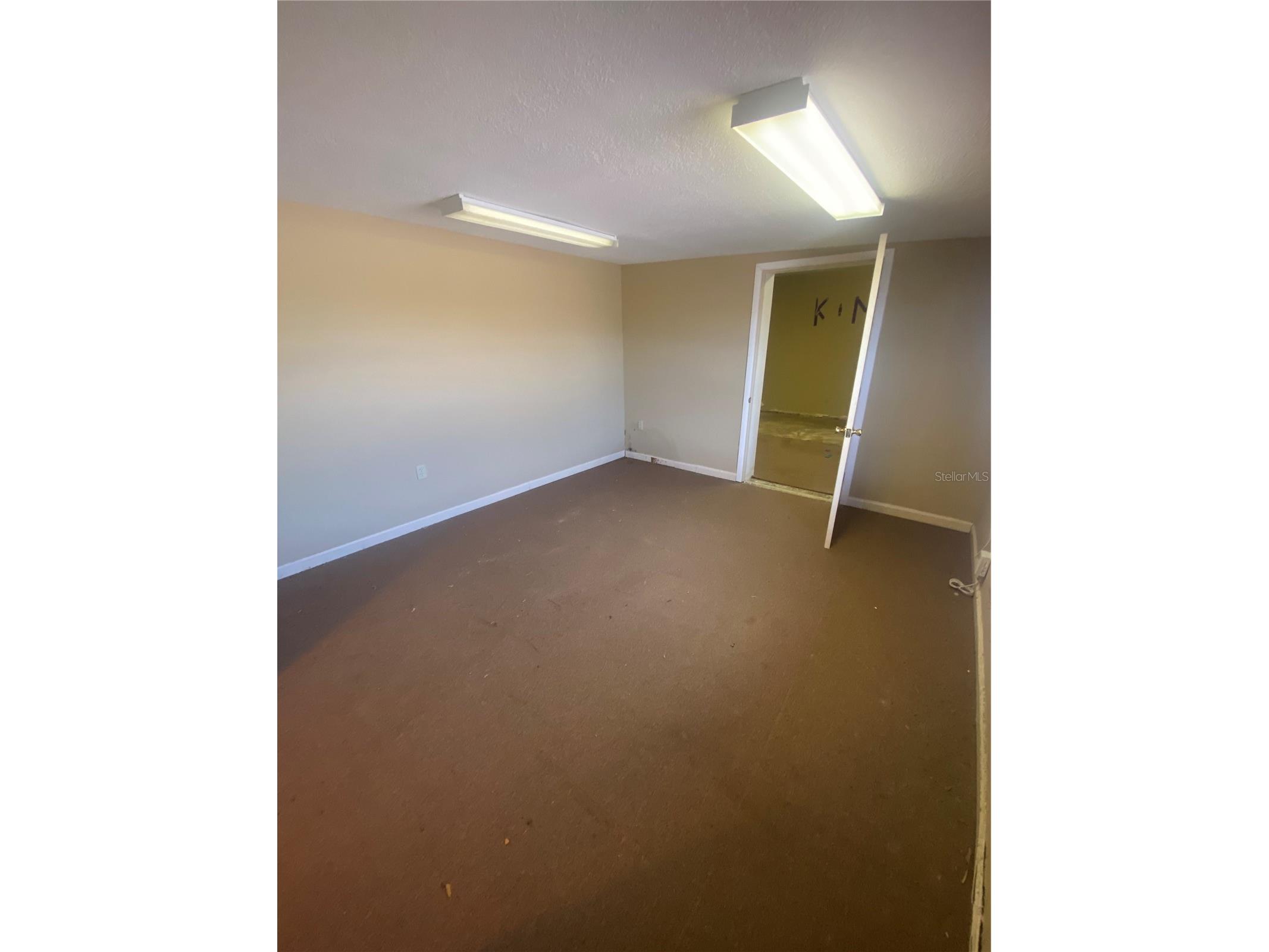 14103 Black Lake Road Odessa FL 33556 TB8529487 image19