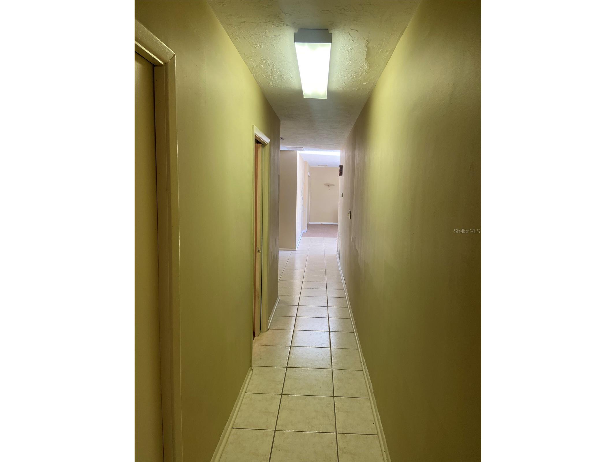 14103 Black Lake Road Odessa FL 33556 TB8529487 image23
