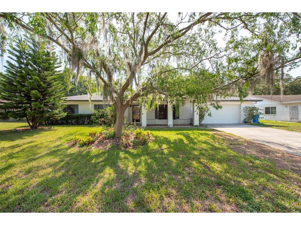 14105 Briarthorn Drive Tampa FL 33625 T3453307 image1