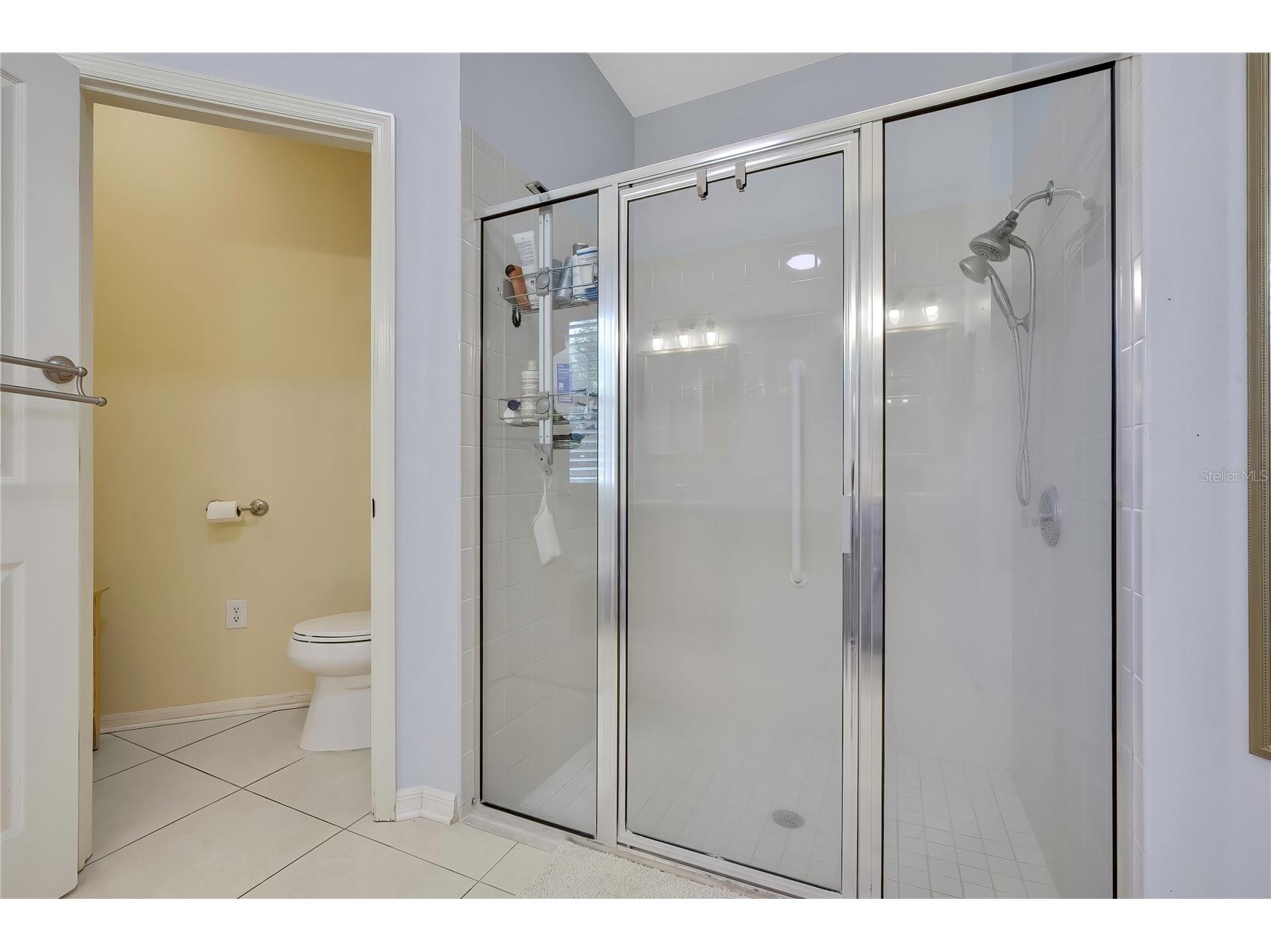 14105 Marlberry Way Odessa FL 33556 TB8502938 image21