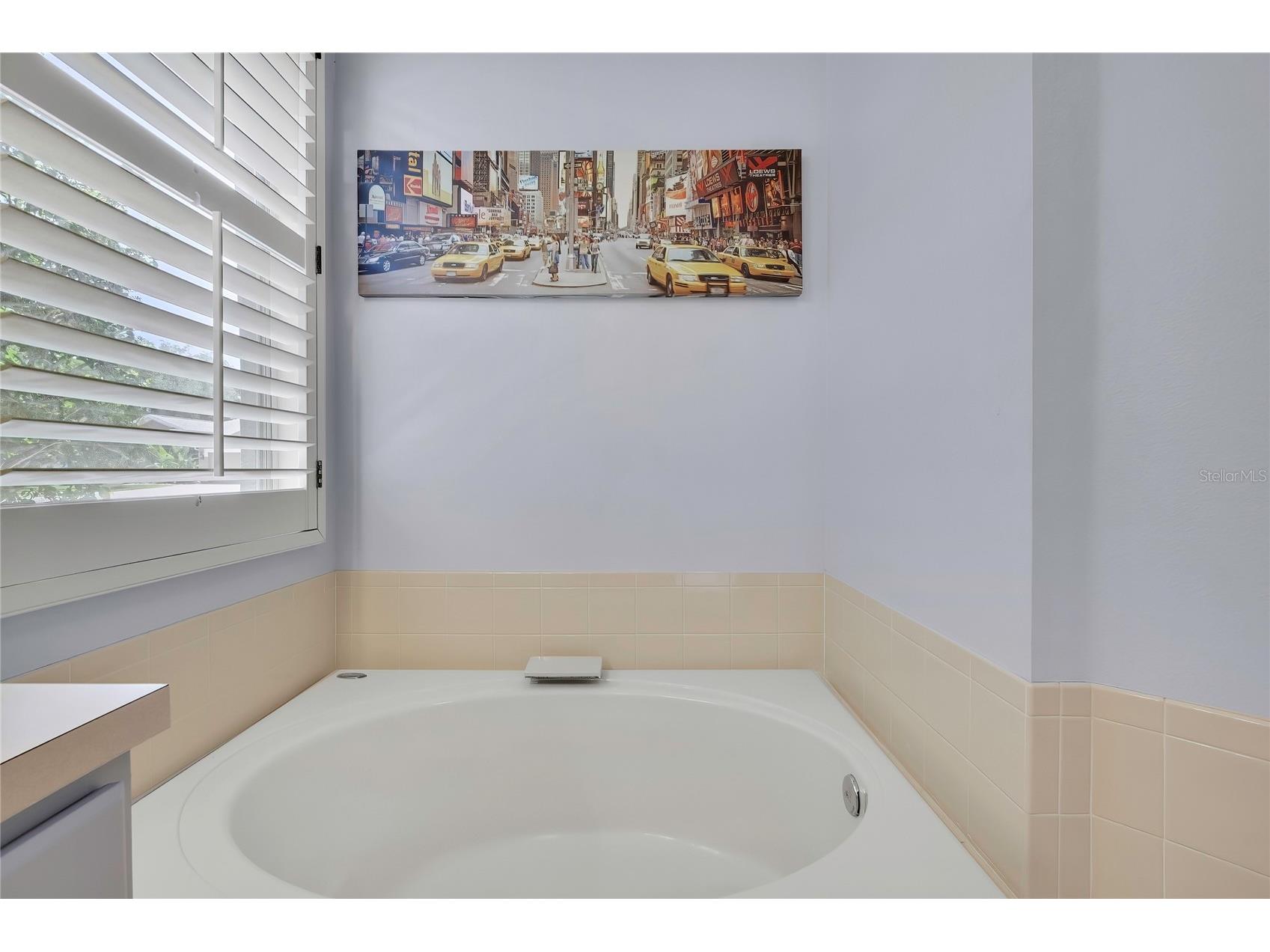 14105 Marlberry Way Odessa FL 33556 TB8502938 image22