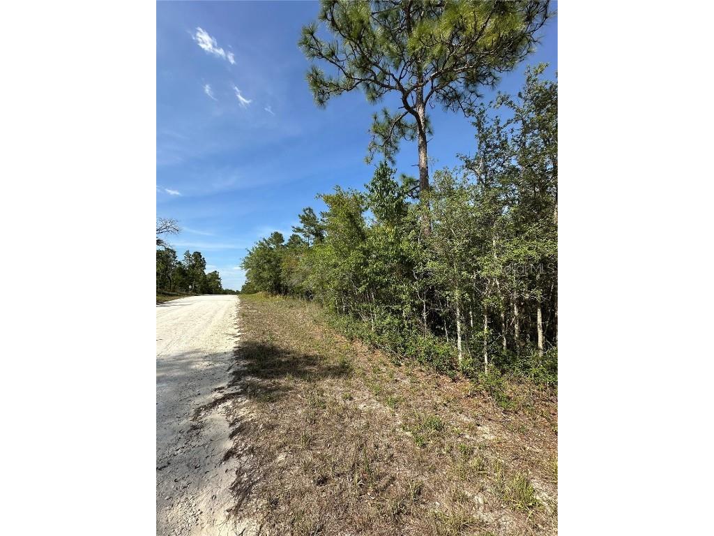 14106 Eastern Phoebe Road Brooksville FL 34614 TB8376815 image1