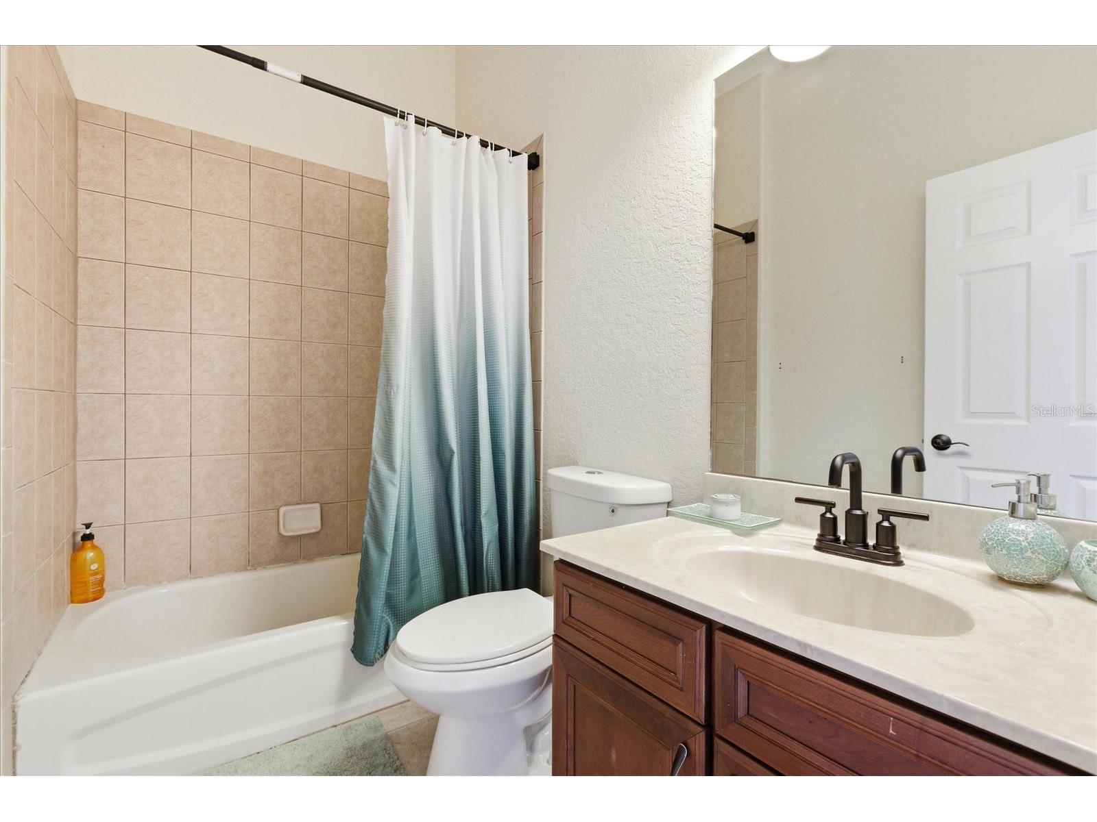 14106 Oakwood Cove Lane Orlando FL 32832 O6404573 image39