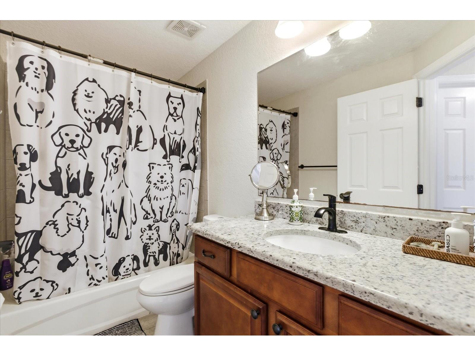 14106 Oakwood Cove Lane Orlando FL 32832 O6404573 image41