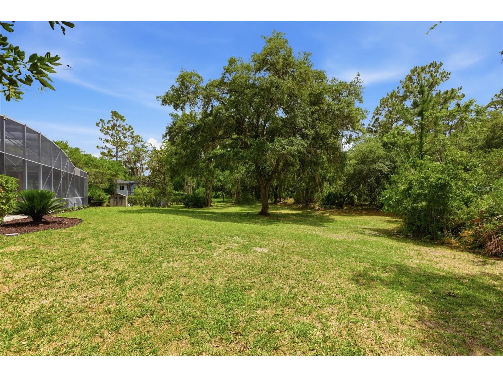 14106 Oakwood Cove Lane Orlando FL 32832 O6404573 image57