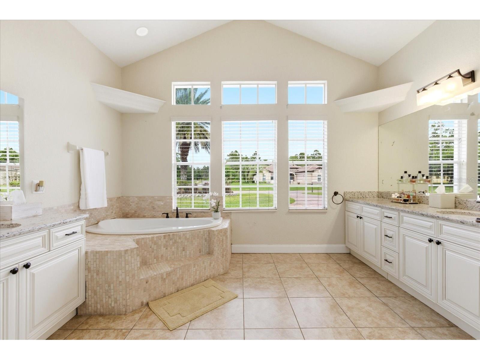 14106 Oakwood Cove Lane Orlando FL 32832 O6404573 image58
