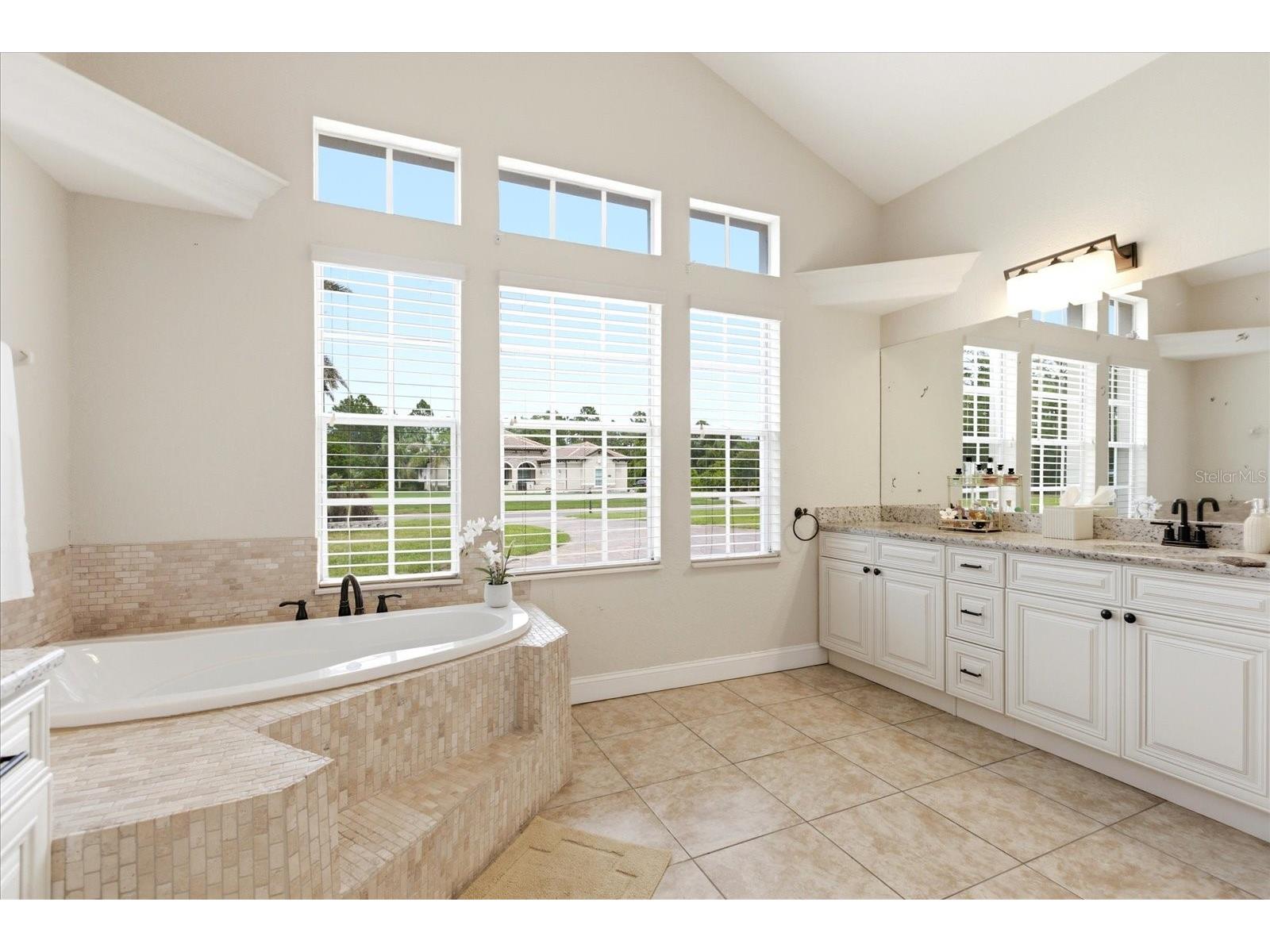 14106 Oakwood Cove Lane Orlando FL 32832 O6404573 image59