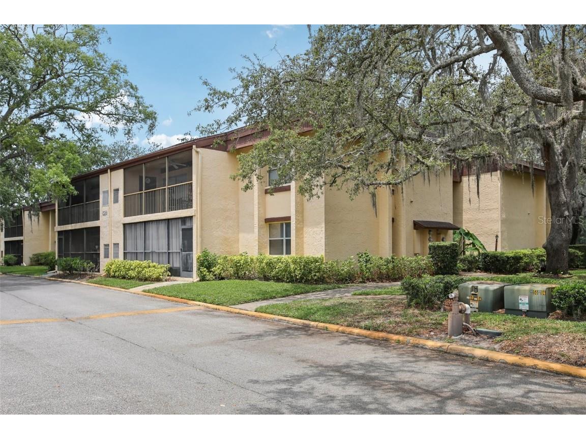 14107 Mossy Glen Lane #203 Tampa FL 33613 TB8383976 image1