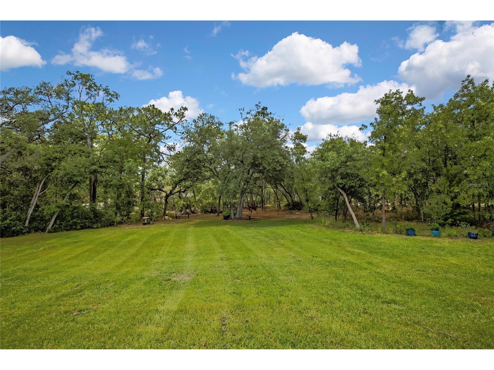 14108 Mulkerin Drive Weeki Wachee FL 34614 W7885560 image4