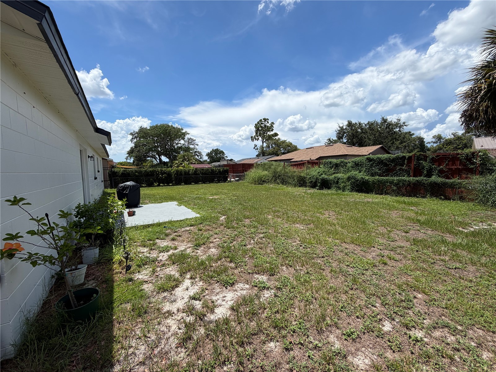 14109 Newcomb Avenue Orlando FL 32826 O6422916 image13