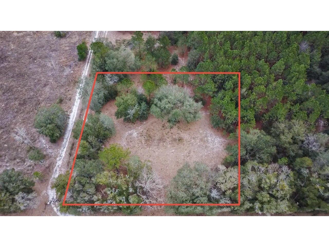 14109 SW 134th Terrace Archer FL 32618 GC527853 image2