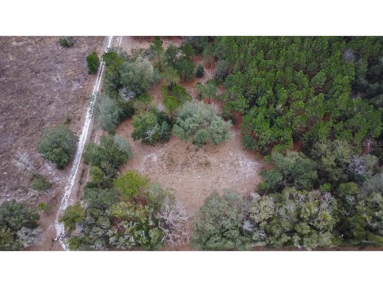 14109 SW 134th Terrace Archer FL 32618 GC527853 image3