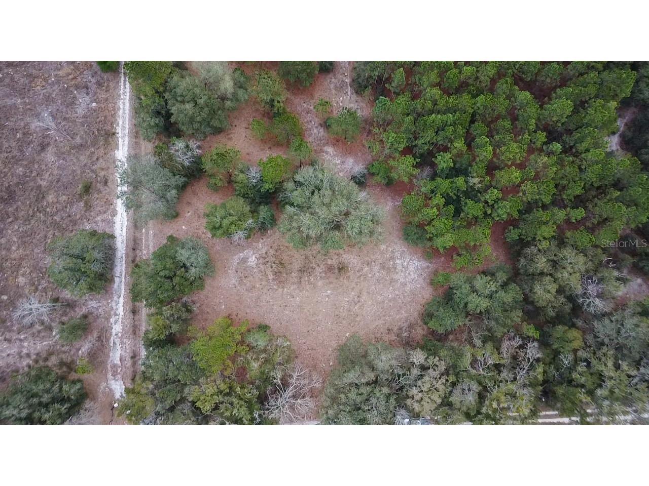 14109 SW 134th Terrace Archer FL 32618 GC527853 image4