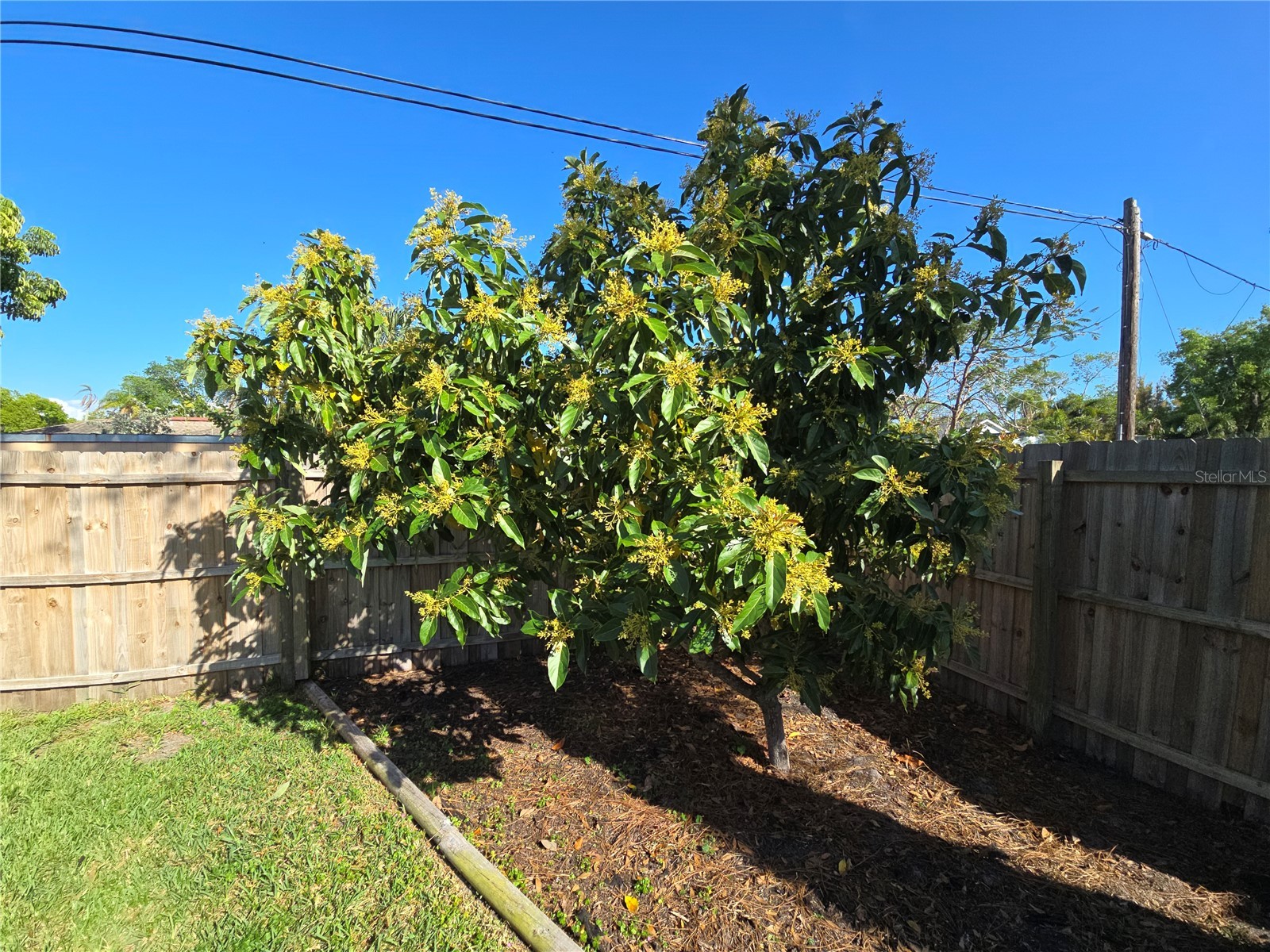 1411 29th Street W Bradenton FL 34205 A4686215 image5