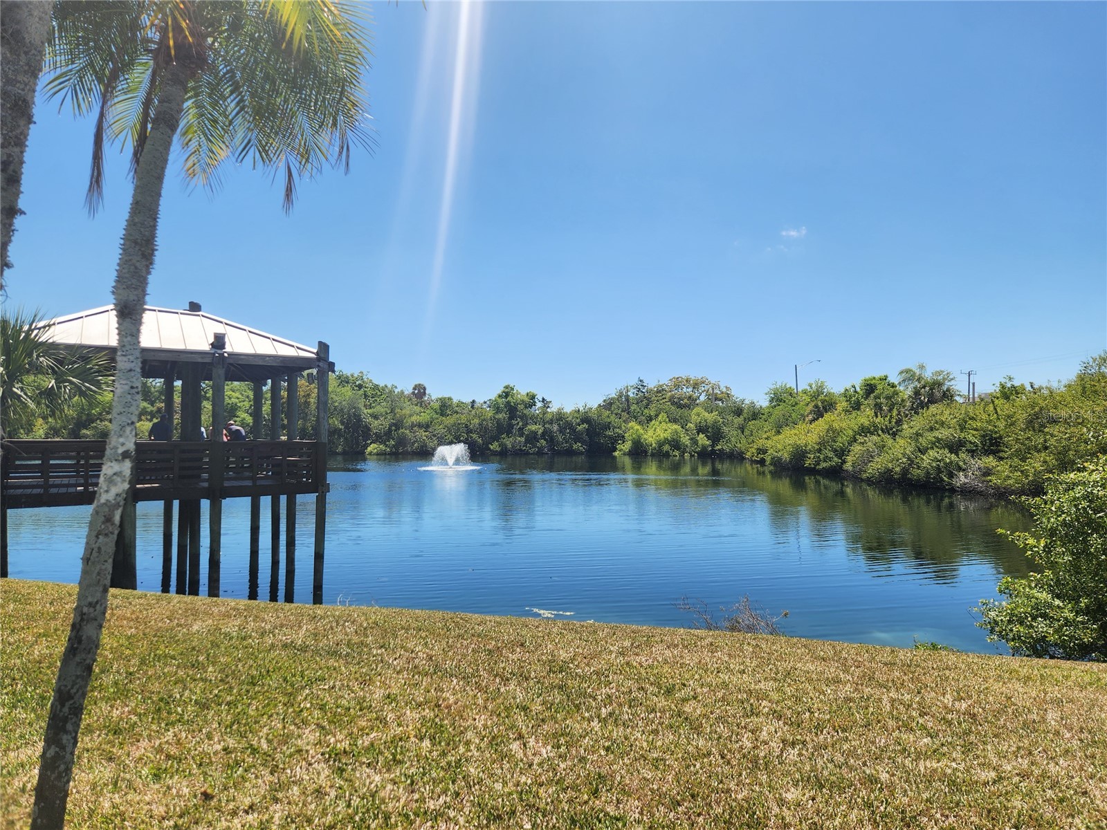 1411 57th Street W #1411 Bradenton FL 34209 A4687811 image35