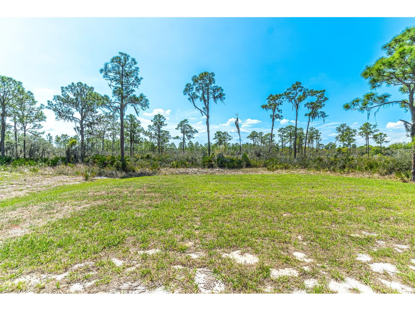 1411 Bittersweet Street Lake Placid FL 33852 L4959157 image12
