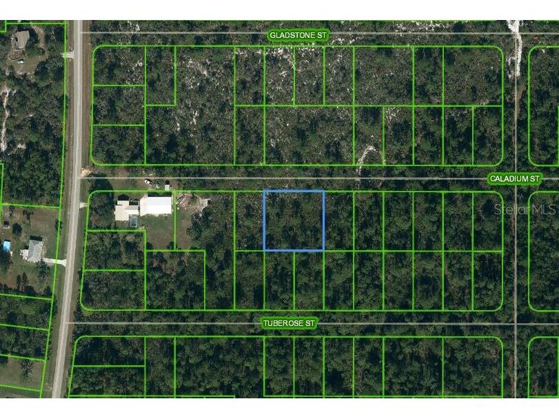 1411 Caladium Street Lake Placid FL 33852 OM624816 image1