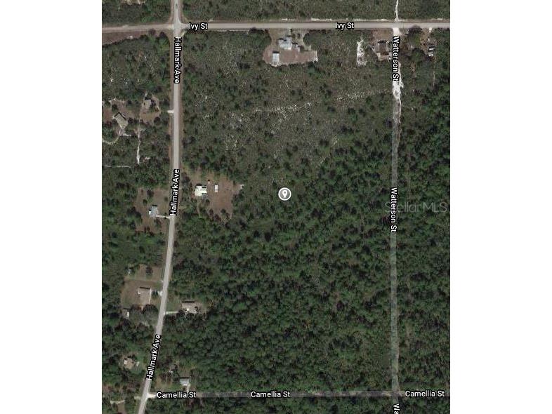 1411 Caladium Street Lake Placid FL 33852 OM624816 image2