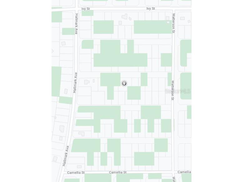 1411 Caladium Street Lake Placid FL 33852 OM624816 image3