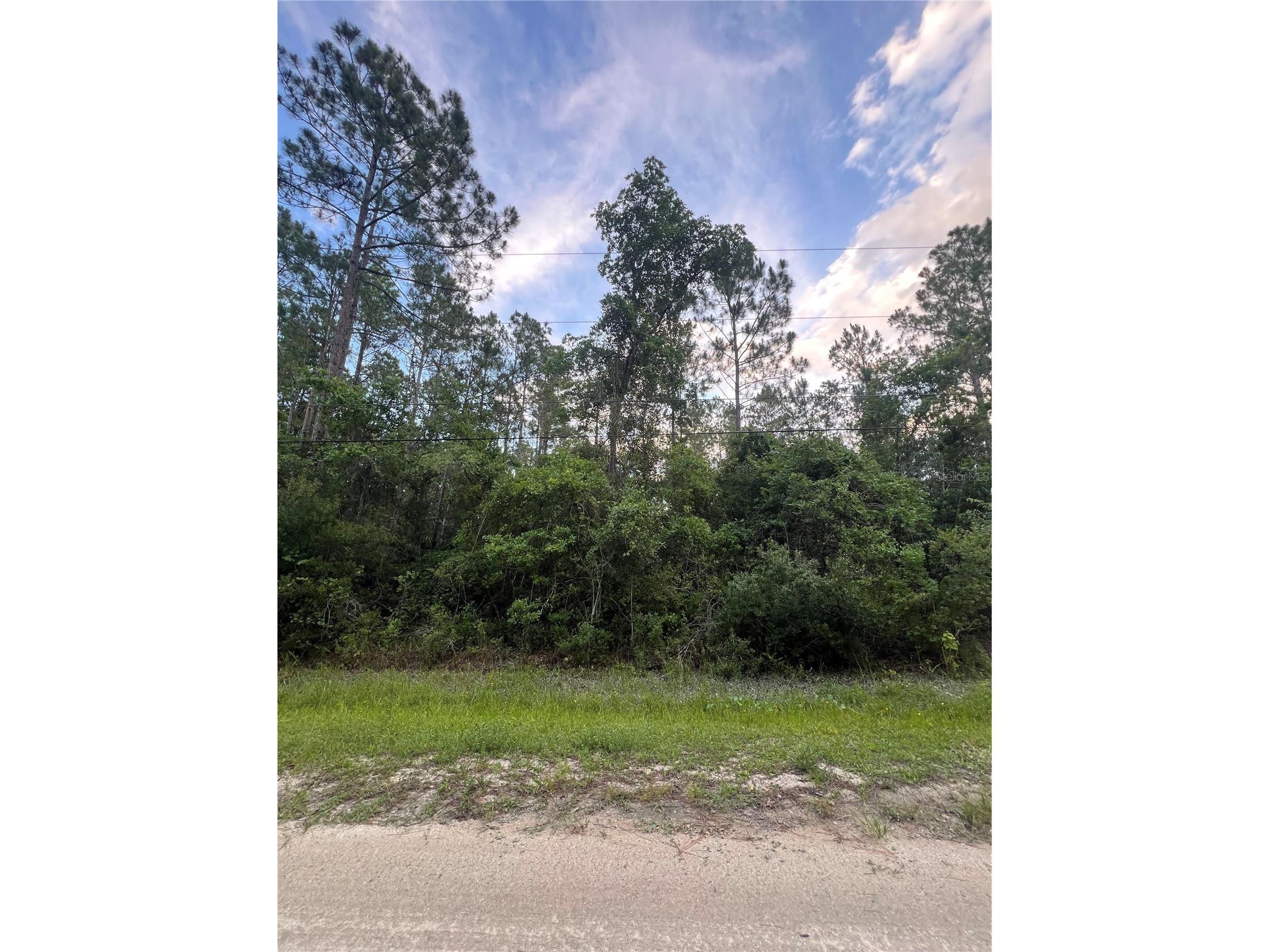 1411 Elder Street Bunnell FL 32110 FC319254 image1