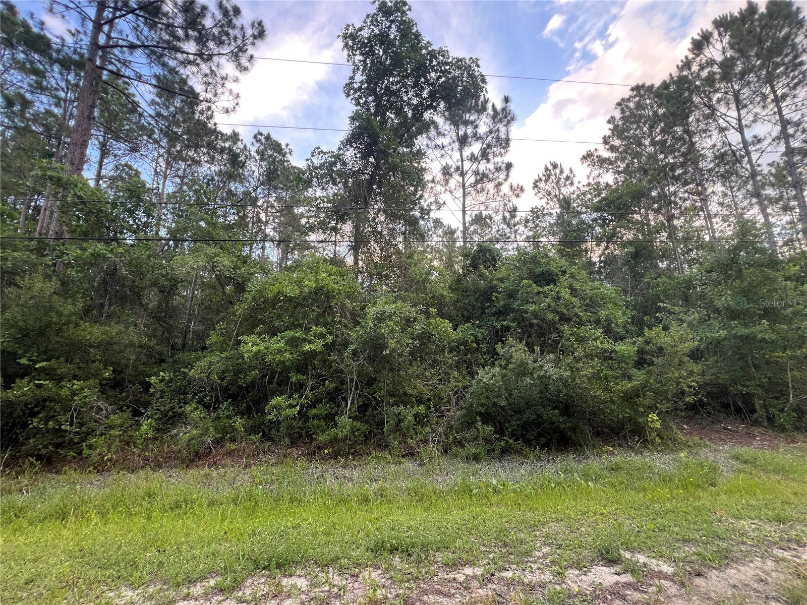 1411 Elder Street Bunnell FL 32110 FC319254 image2