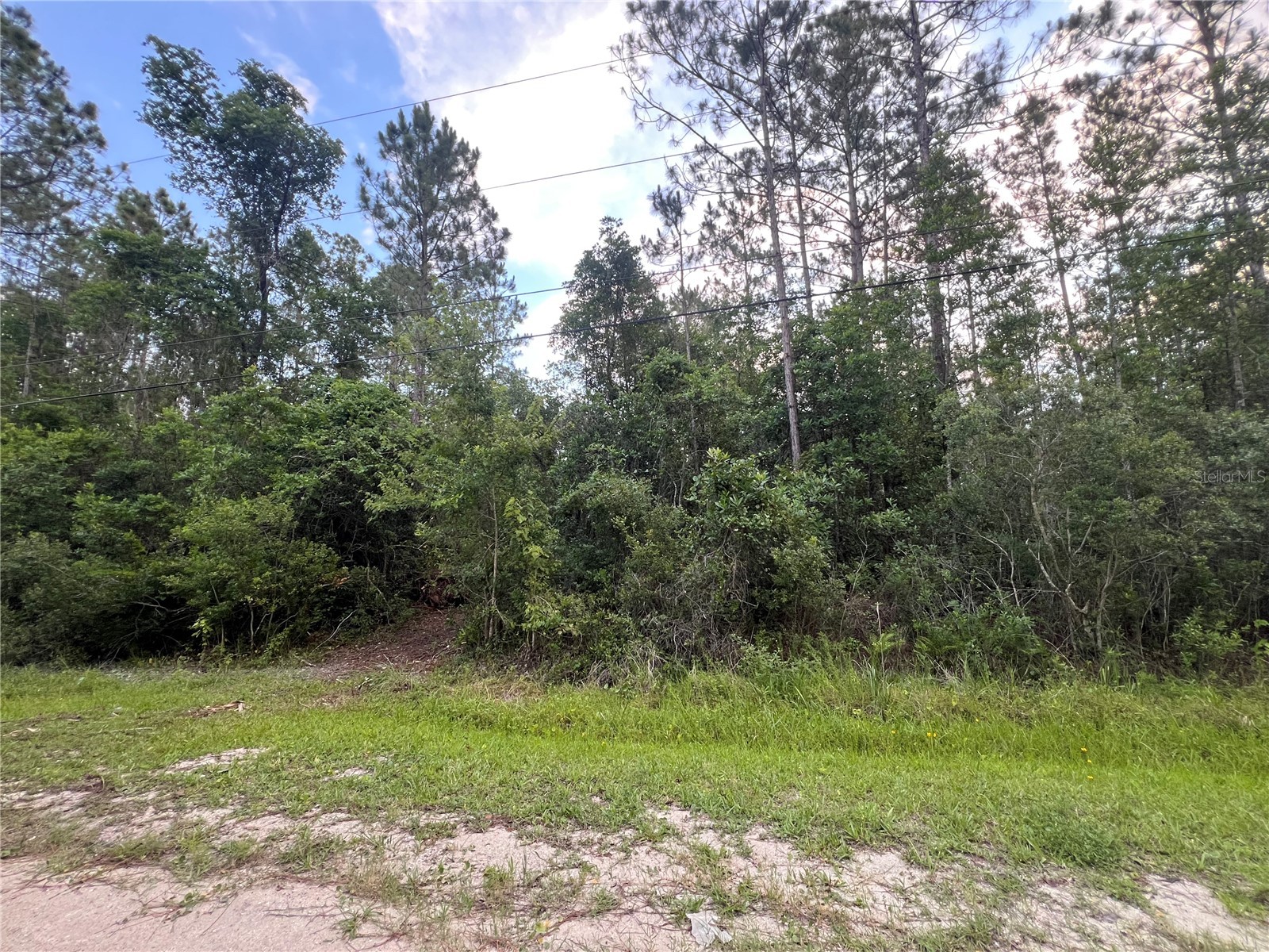 1411 Elder Street Bunnell FL 32110 FC319254 image4