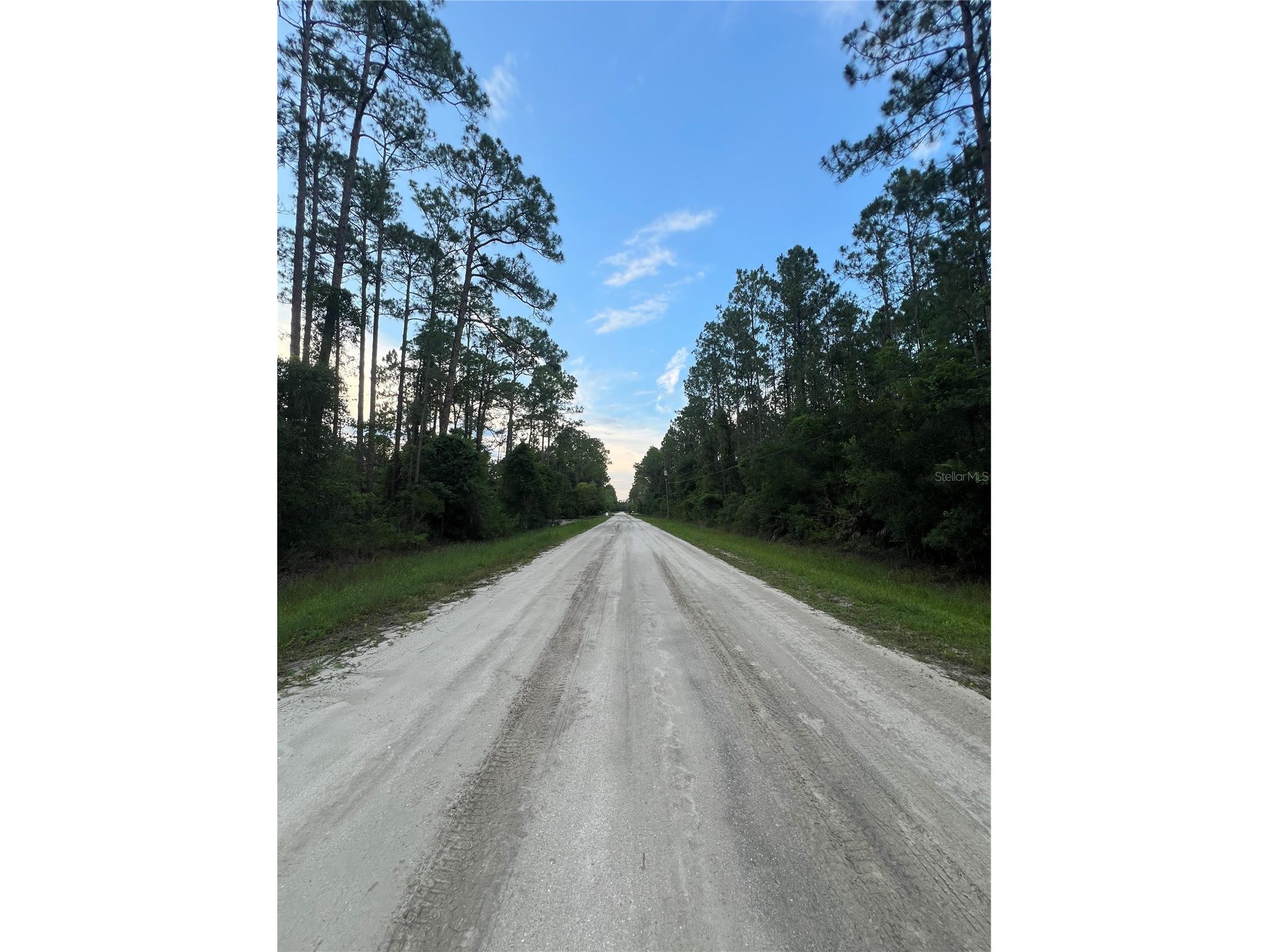 1411 Elder Street Bunnell FL 32110 FC319254 image5