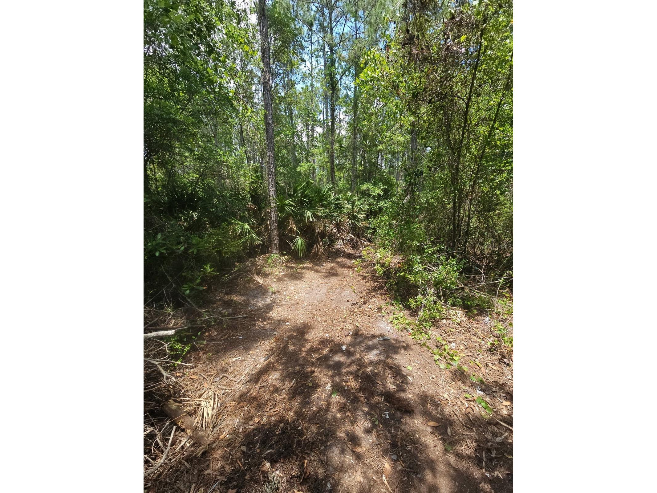 1411 Elder Street Bunnell FL 32110 FC319254 image6