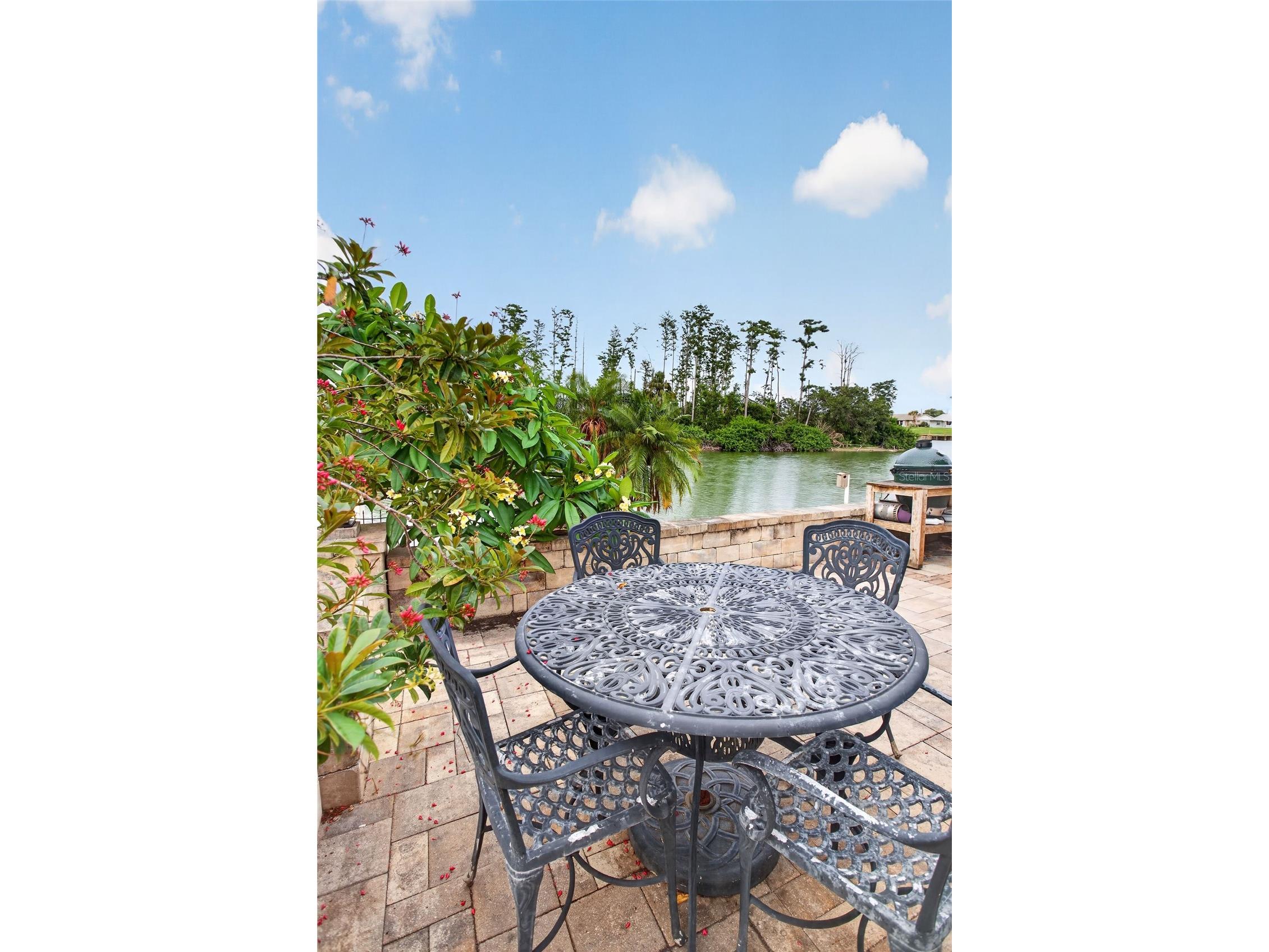 1411 Jacobson Circle Sun City Center FL 33573 - Middle lake TB8514153 image4
