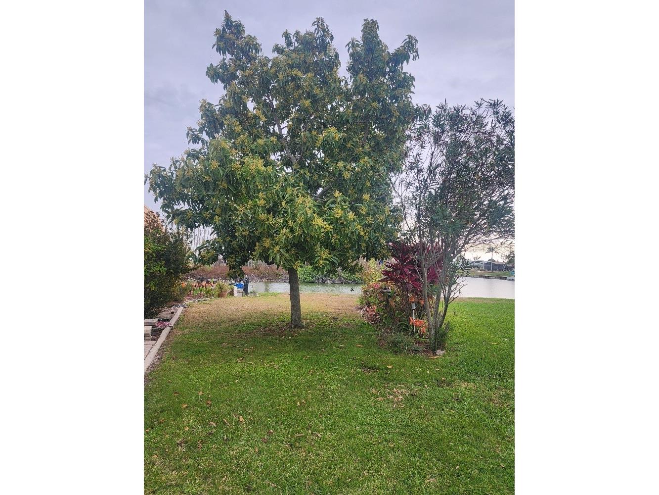 1411 Jacobson Circle Sun City Center FL 33573 - Middle lake TB8514153 image55