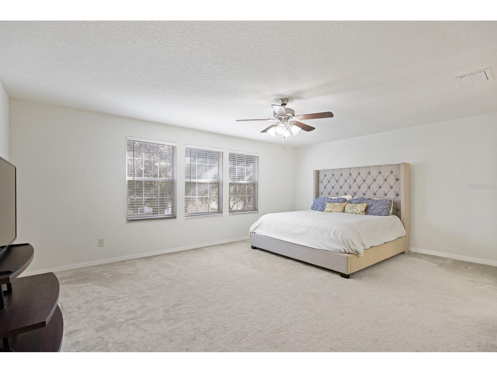 1411 Main Street Valrico FL 33594 TB8454257 image19