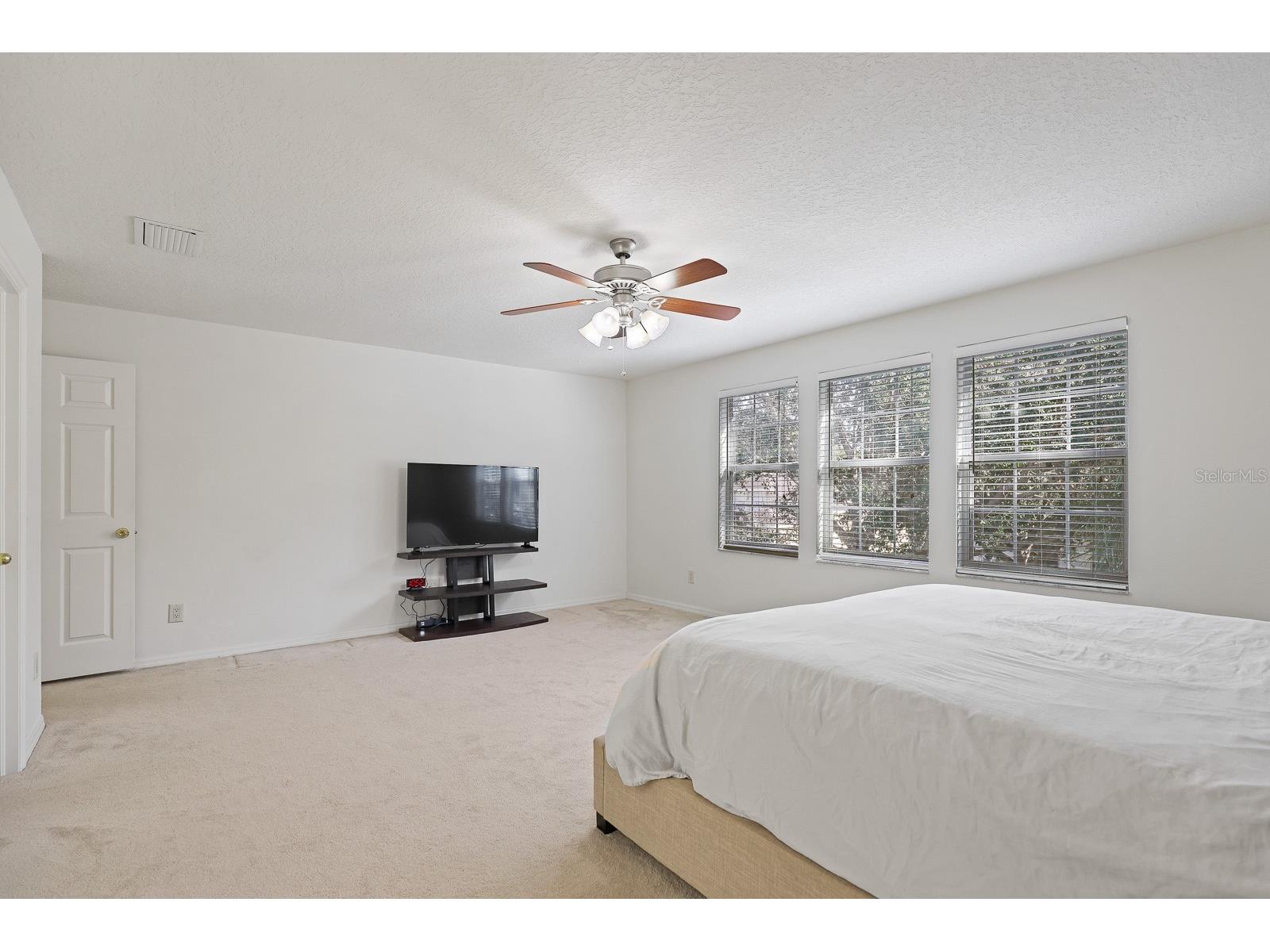 1411 Main Street Valrico FL 33594 TB8454257 image21