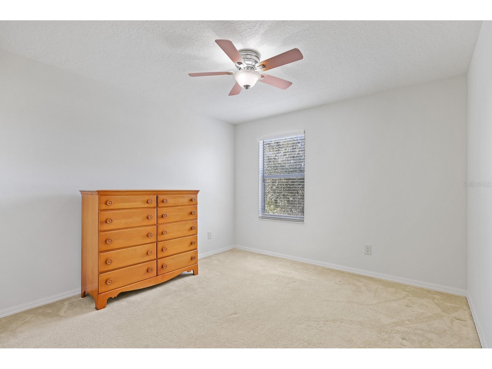 1411 Main Street Valrico FL 33594 TB8454257 image25