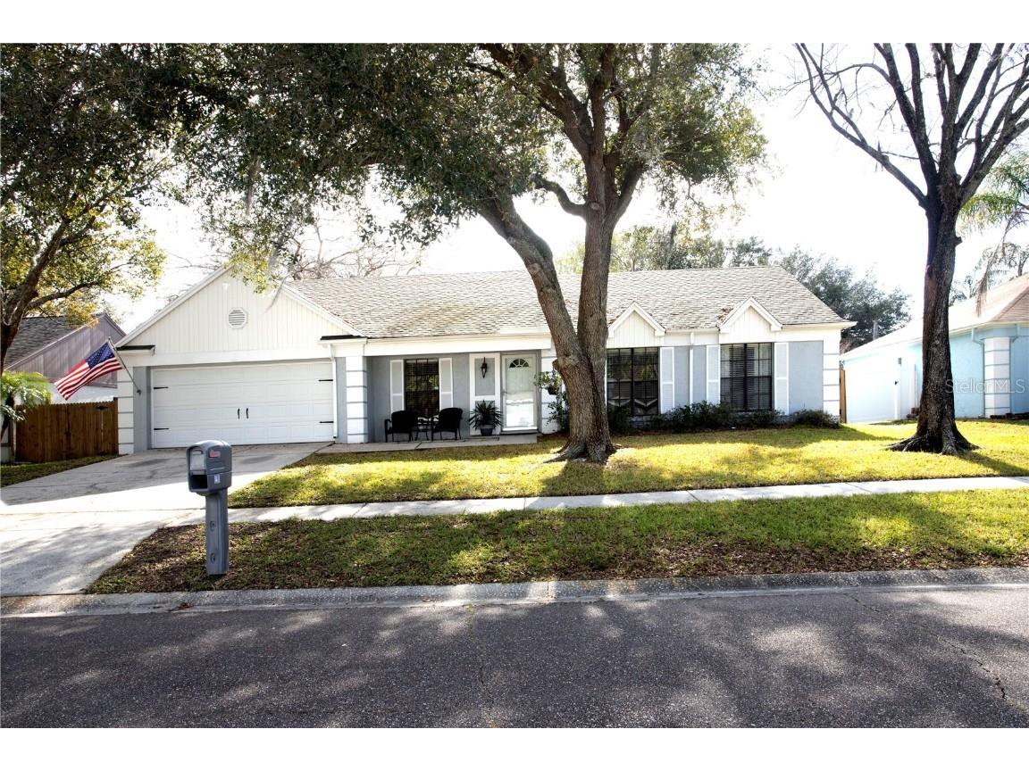 1411 Peachfield Drive Valrico FL 33596 T3425321 image1