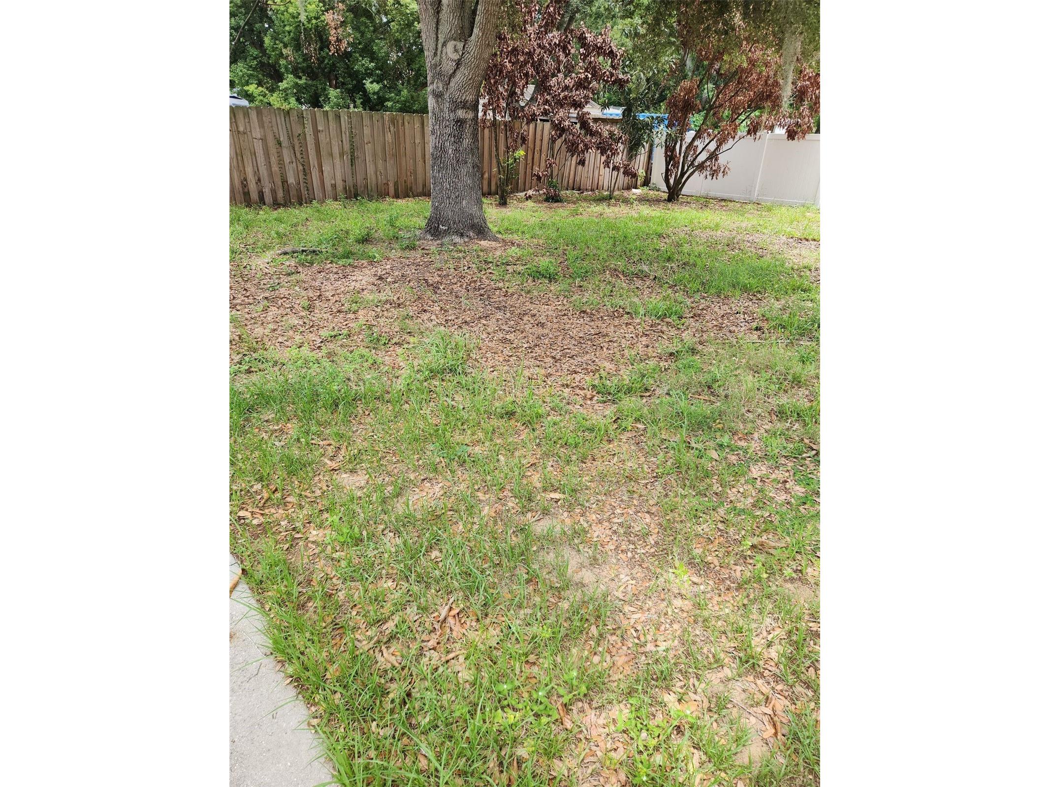 1411 S Mary Street Eustis FL 32726 O6414804 image19