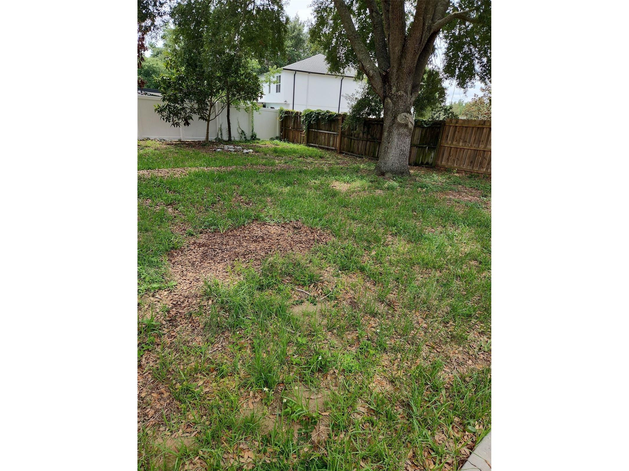 1411 S Mary Street Eustis FL 32726 O6414804 image20