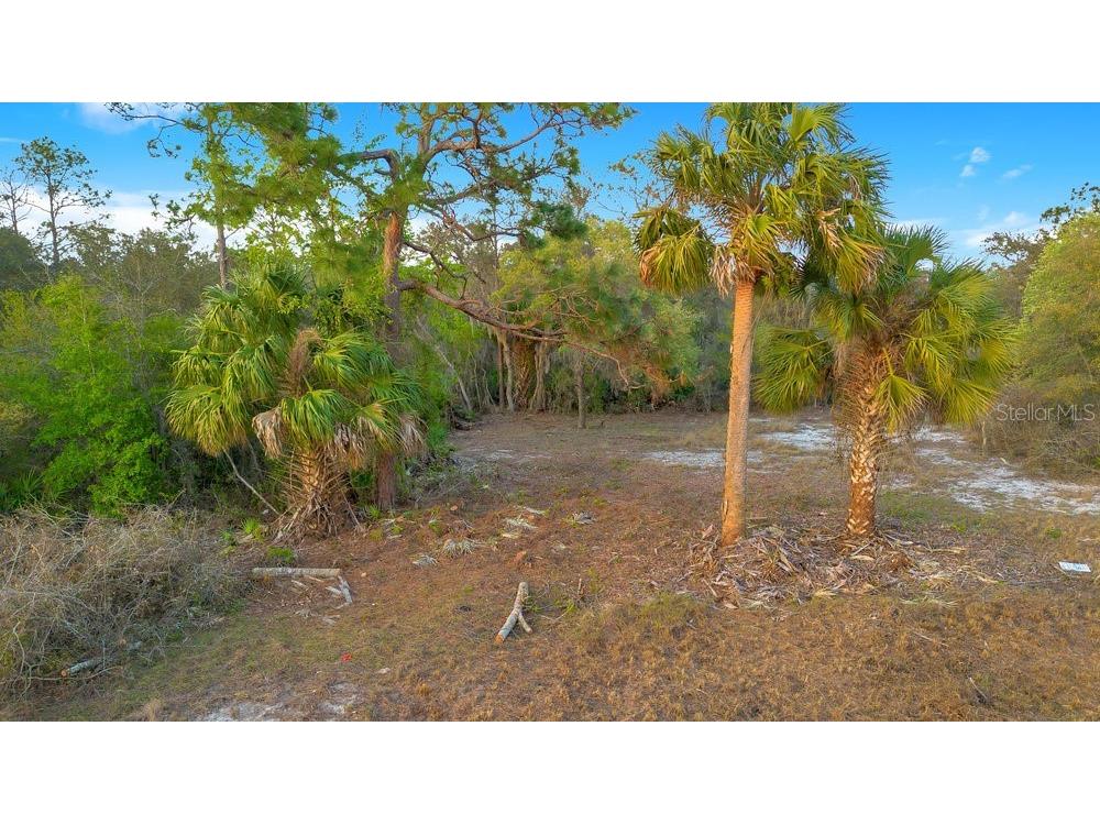 1411 Sarasota Court Poinciana FL 34759 O6306971 image1