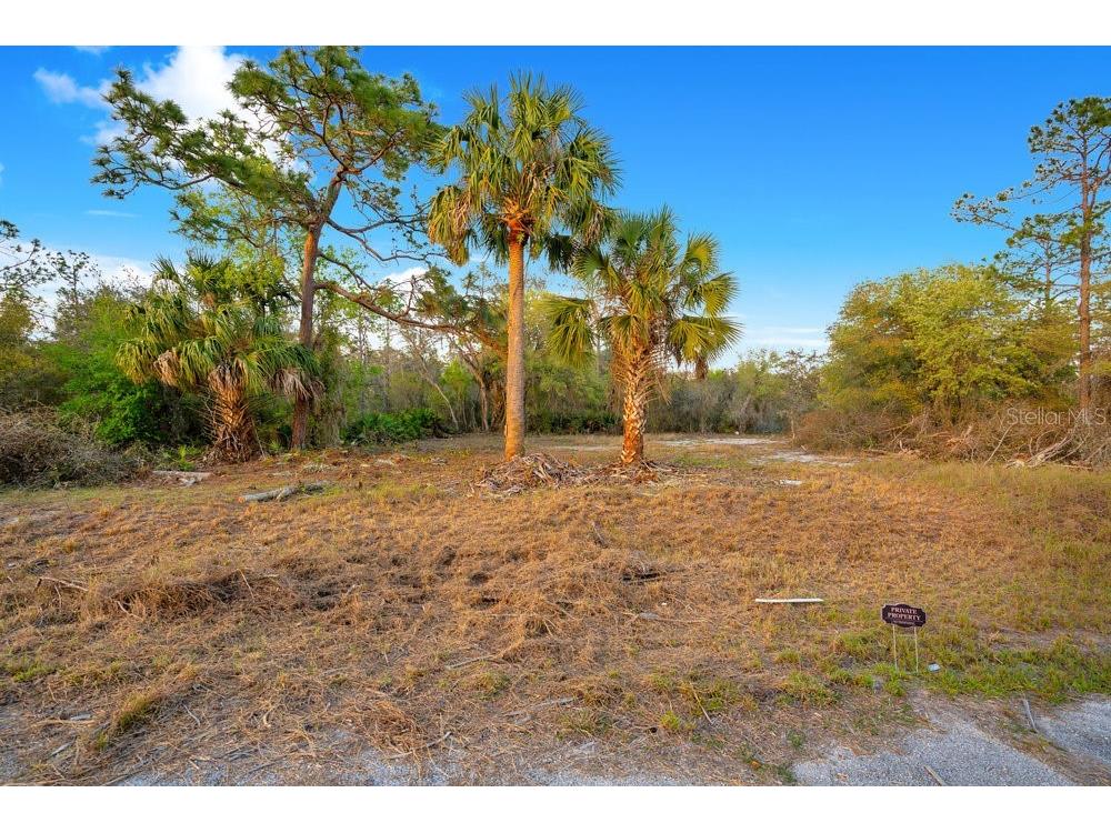 1411 Sarasota Court Poinciana FL 34759 O6306971 image2