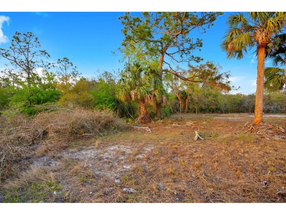 1411 Sarasota Court Poinciana FL 34759 O6306971 image3