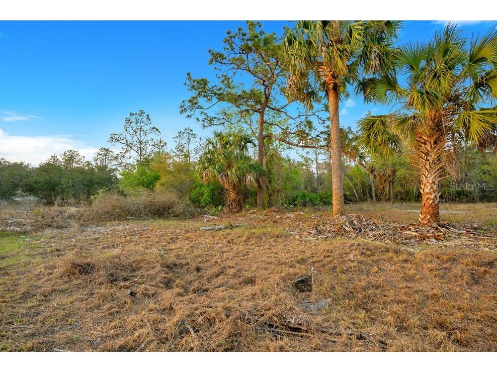 1411 Sarasota Court Poinciana FL 34759 O6306971 image4