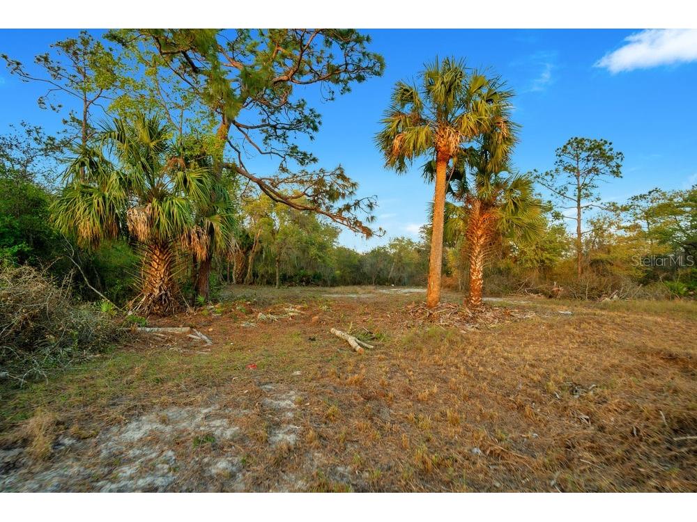 1411 Sarasota Court Poinciana FL 34759 O6306971 image5